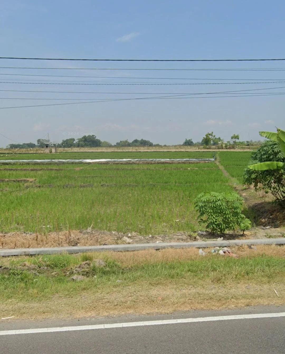 Jual Tanah Raya Ngawi Caruban Jawa Timur