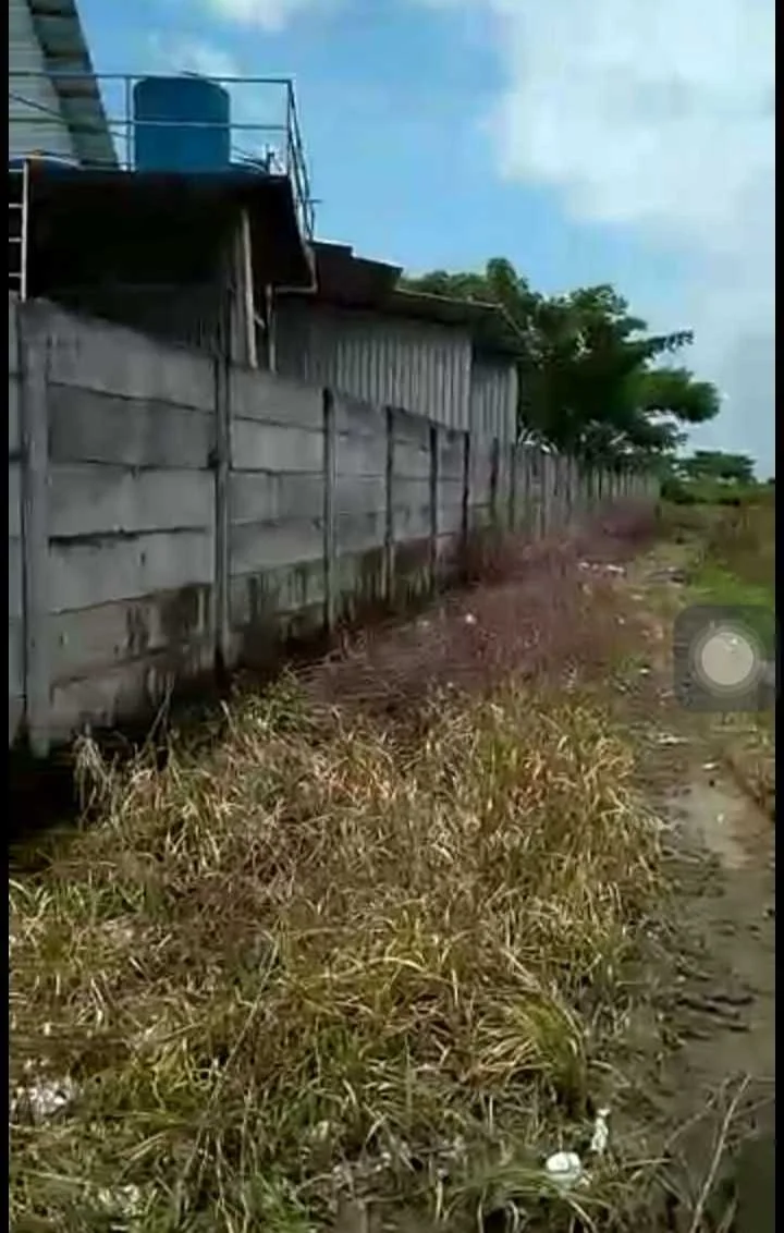 Dijual Tanah Industri Nol Jalan di Tuban