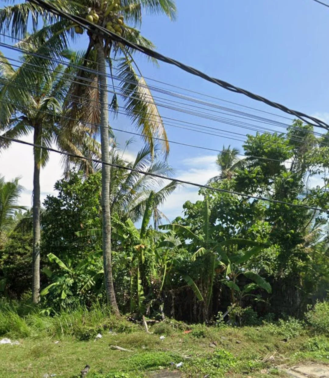 Dijual Lahan Raya Denpasar Gilimanuk Lokasi Strategis Bali - Image 1