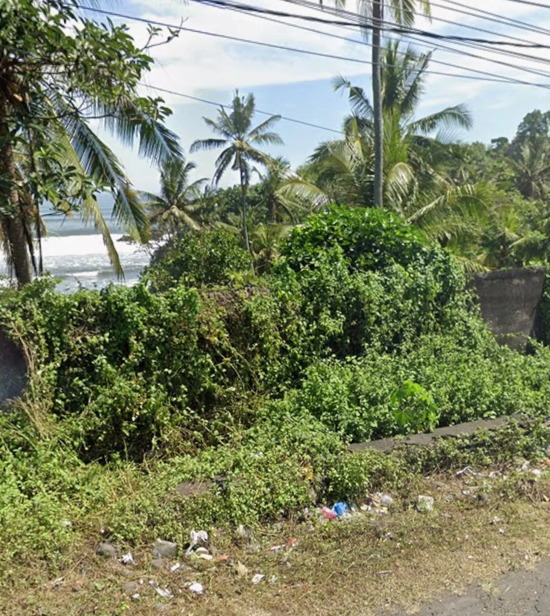 Dijual Lahan Raya Denpasar Gilimanuk Lokasi Strategis Bali - Thumbnail 2