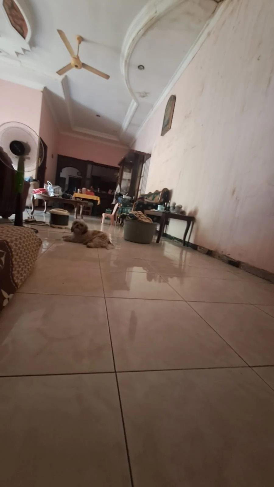 Dijual Rumah Nol Jalan Cocok Untuk Usaha Raya Dukuh Kapasan Sambikerep Surabaya Barat - Thumbnail 2