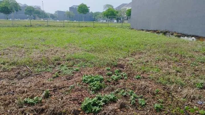 Dijual Tanah Surabaya Barat - Image 1