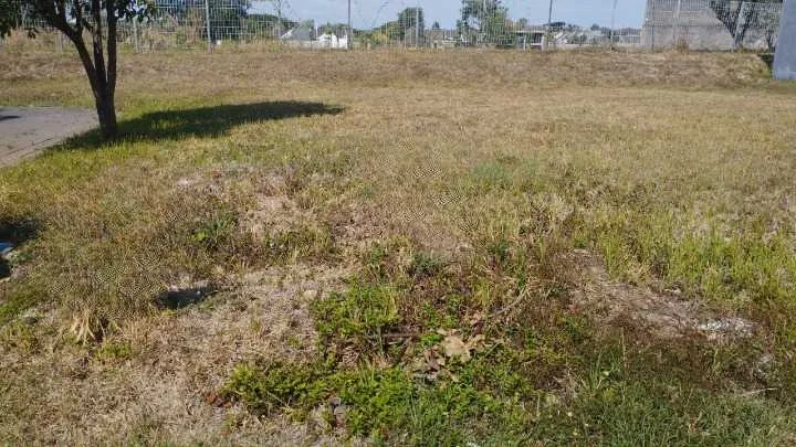 Dijual Tanah Perumahan Bukit Palma Clasica Surabaya Barat