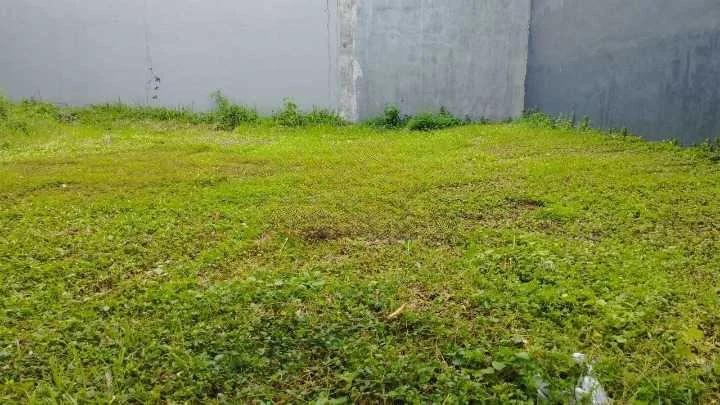Dijual Tanah Citraland Surabaya Barat - Image 1