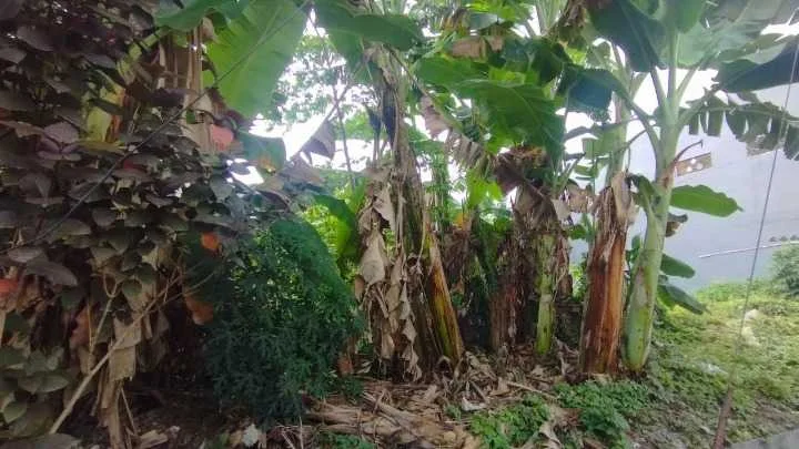 Dijual Tanah Strategis Lokasi Semampir Tengah Surabaya Timur