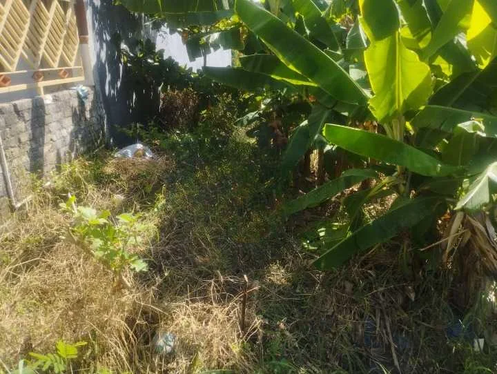 Dijual Tanah Luas Strategis di Wilayah Driyorejo Gresik