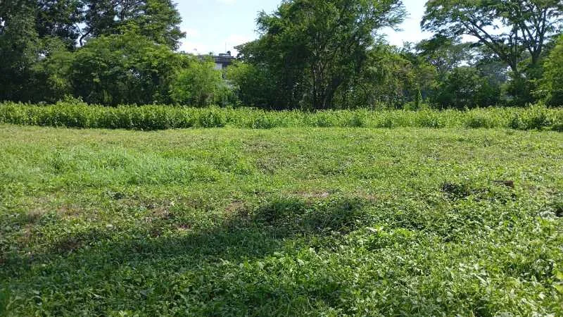 Dijual Tanah Strategis di Bukit Golf Internasional Citraland Surabaya Barat