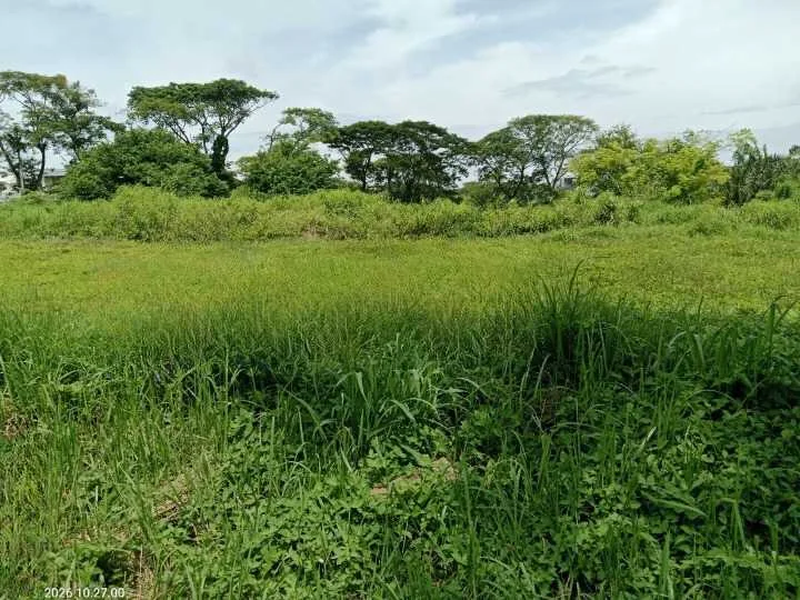 Dijual Tanah Lokasi Premium Strategis Citraland Surabaya Barat - Thumbnail 4