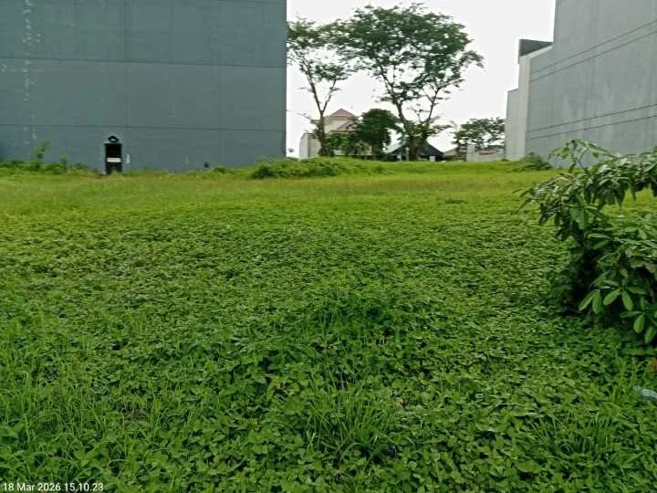 Disewakan Tanah Kavling Komersial North Emerald Mansion Citraland Surabaya Barat