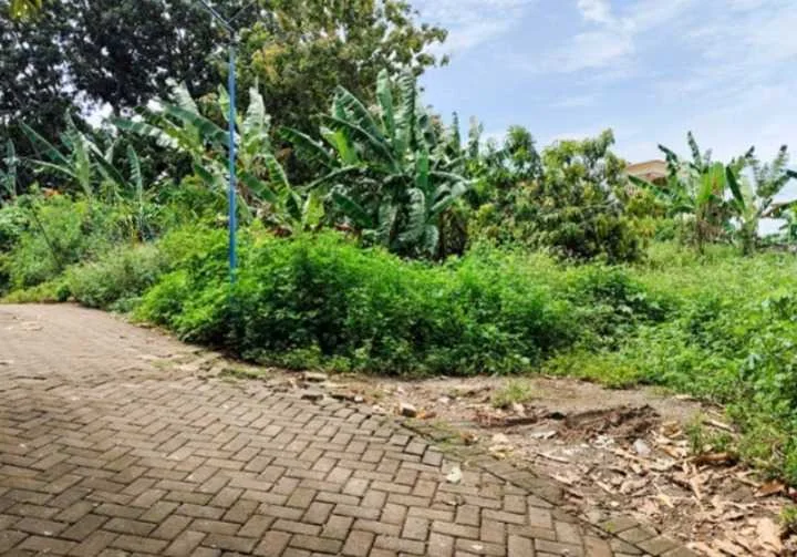 Dijual Lelang Tanah Strategis di Jalan Palm, Gunung Pati Semarang
