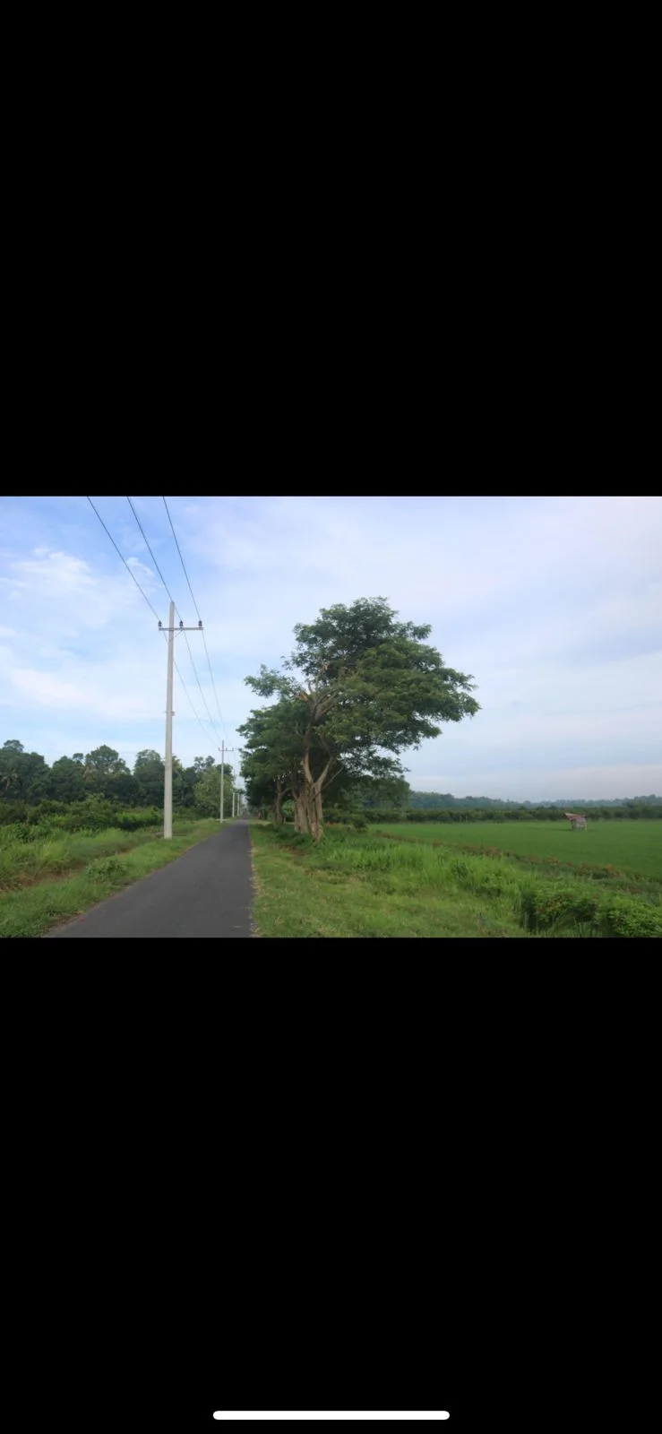 Dijual Tanah Strategis di Raya Ujung Pangkah Gresik