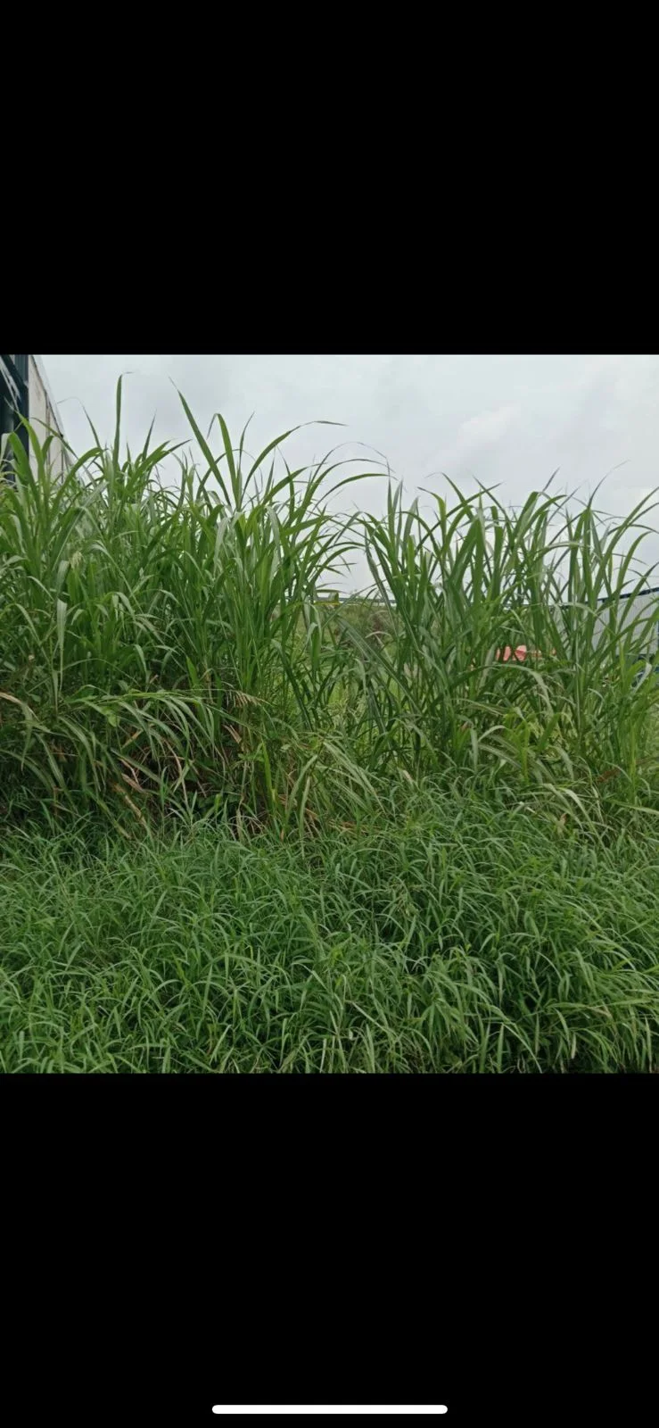 Dijual Tanah Luas Posisi Hook di Citra Harmoni Sidoarjo