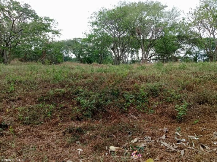 Dijual Tanah Kavling Premium Luas Strategis di Bukit Golf Internasional Citraland Surabaya Barat