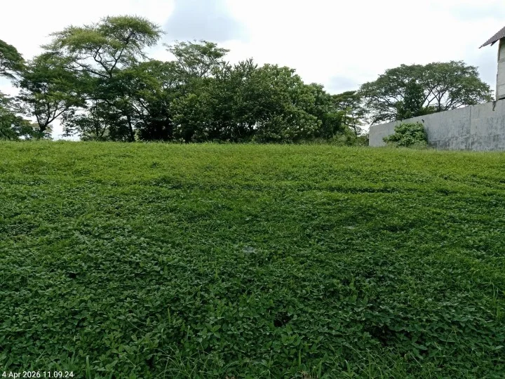 Dijual Tanah Kavling Premium Luas di Bukit Golf Citraland Surabaya Barat