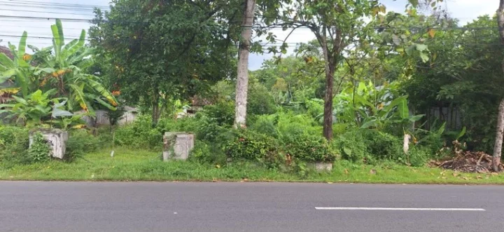 Dijual Tanah Strategis di Jalan Dusun Nglembu Trenggalek