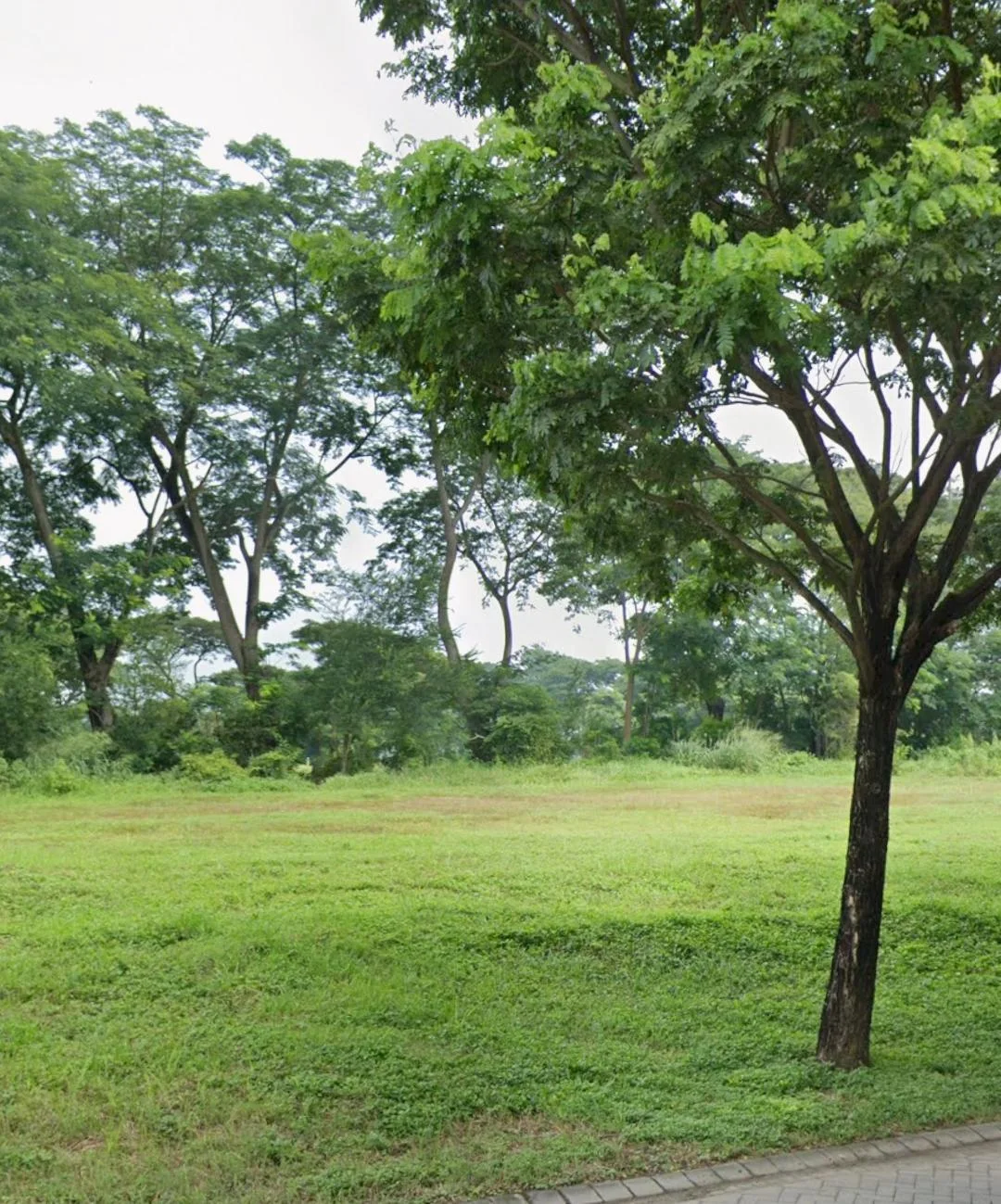 Dijual Kavling Tanah Galeria Golf Lokasi Premium Long View Golf Citraland Surabaya Barat - Image 1