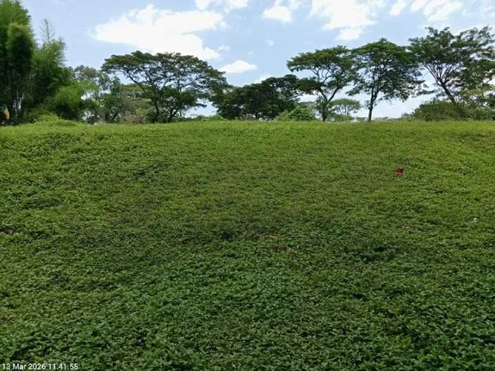 Dijual Tanah Premium Luas di Bukit Golf International Citraland Surabaya Barat