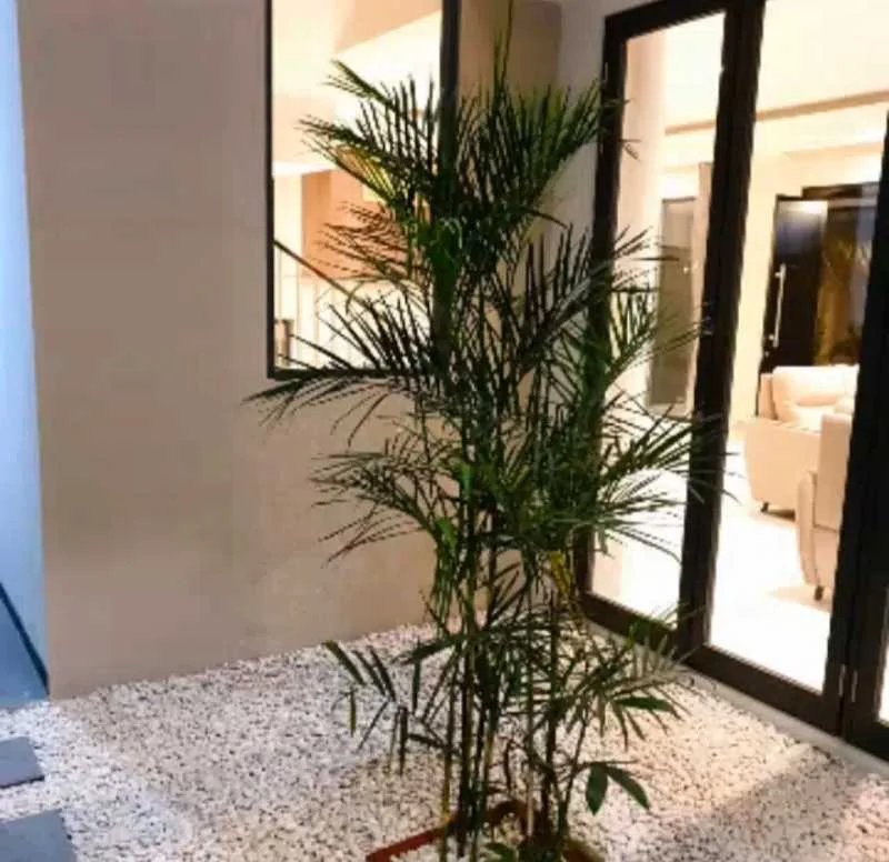 Rumah Siap Huni Murah Strategis Manyar Tirtoyoso Utara Surabaya