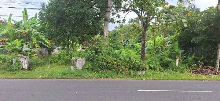 Jual Tanah Strategis Jalan Dusun Nglembu Trenggalek