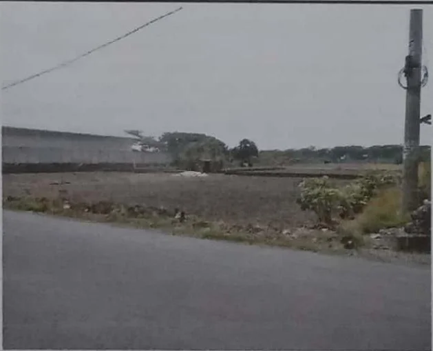 Dijual Tanah Luas Lokasi Strategis di Jalan Raya Alas Malang Beringin Sambikerep Surabaya Barat