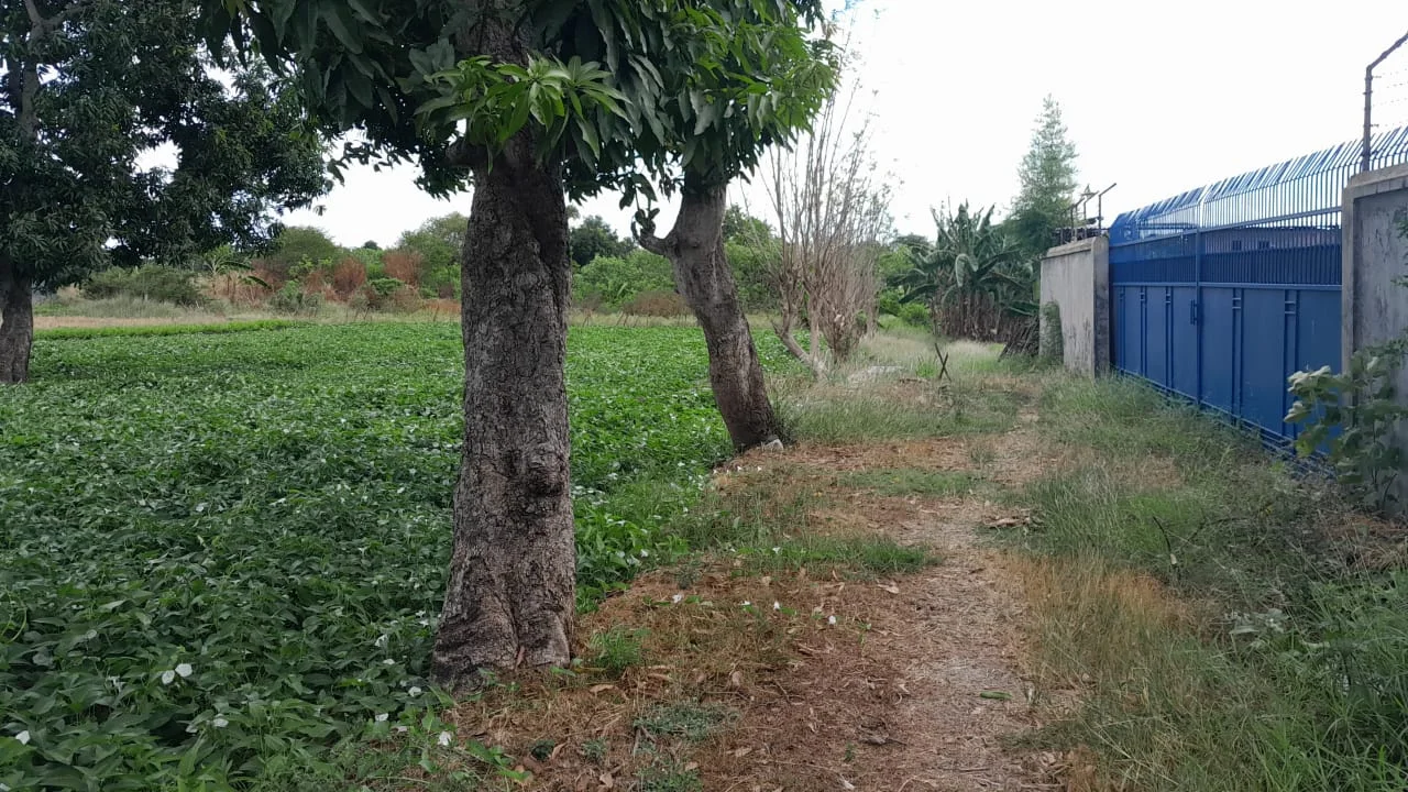 DIJUAL CEPAT TANAH STRATEGIS DI DUKUH PENGALANGAN MENGANTI, GRESIK