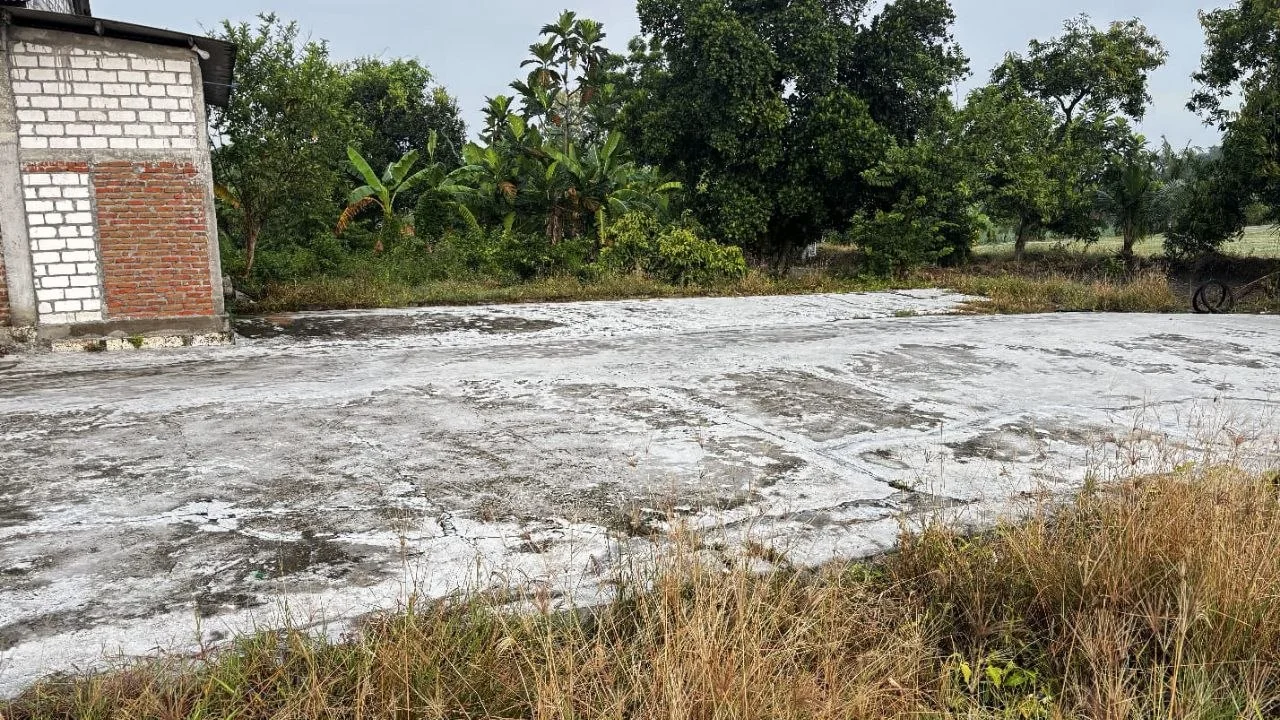 Dijual Gudang Penggilingan Padi Siap Pakai di Kawasan Desa Gintungan Kembangbahu Lamongan - Thumbnail 5