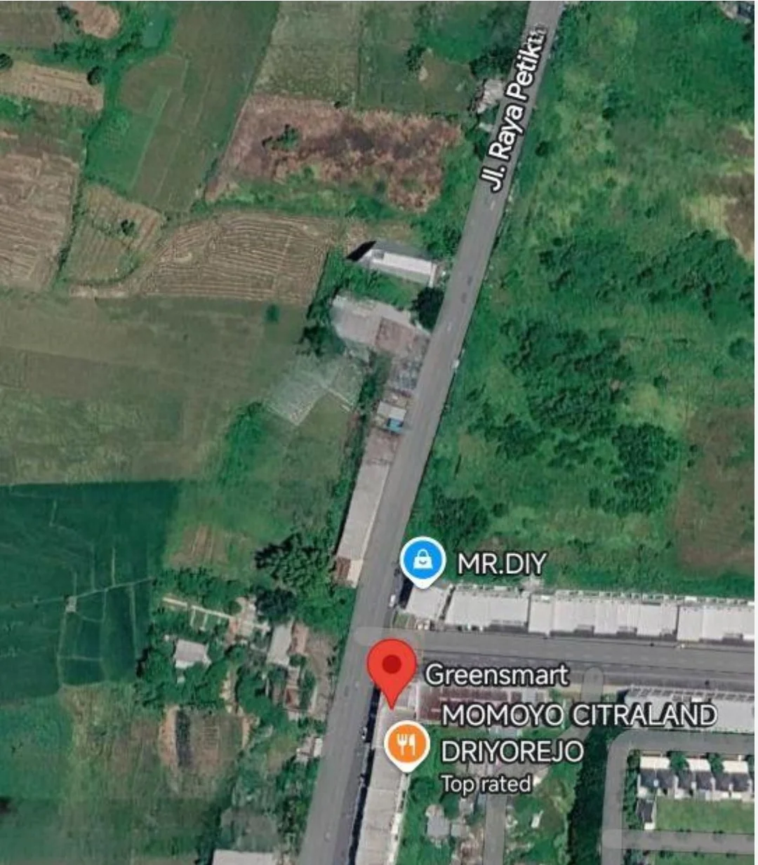 Tanah Strategis Dijual di Raya Petiken, Driyorejo (bbaa) - Image 1