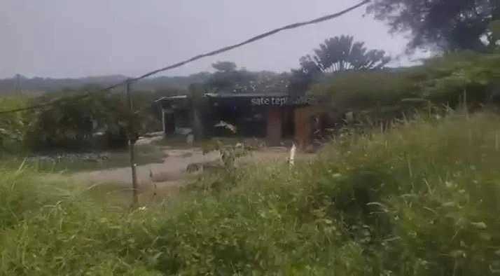 Dijual Tanah Komersial Area Strategis Luas di Jalan Raya Petiken Driyorejo Gresik - Image 1