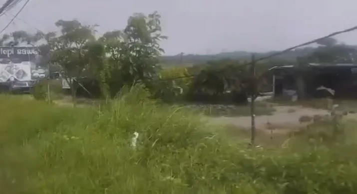Dijual Tanah Komersial Area Strategis Luas di Jalan Raya Petiken Driyorejo Gresik - Thumbnail 3
