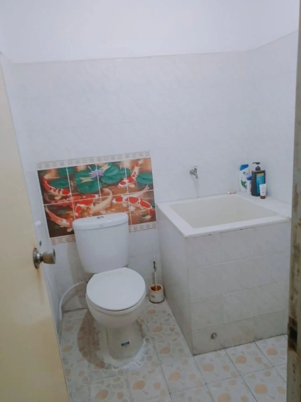 Dijual Ruko 3 Lantai, Dekat Royal Plaza & Stasiun Wonokromo di Mangga Dua, Jagir, Surabaya Selatan - Thumbnail 2