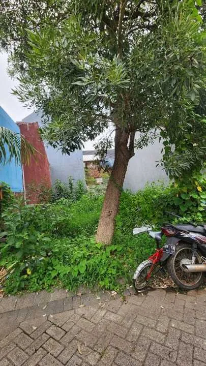 Dijual Tanah Kavling Kawasan Bukit Palma Citraland Surabaya Barat - Image 1