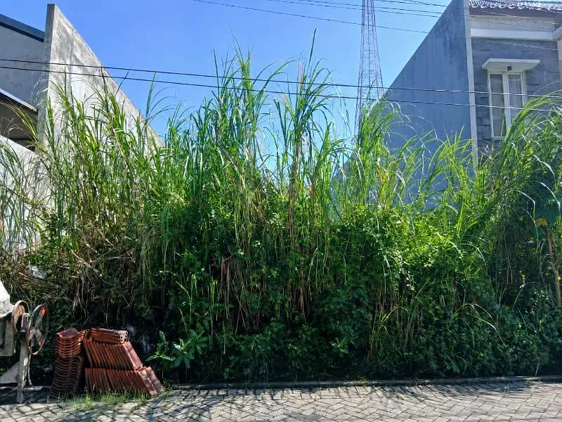 Disewakan Tanah Dekat Pakuwon Mall & Lenmarc di Puncak Sambisari, Sambikerep, Surabaya Barat - Image 1
