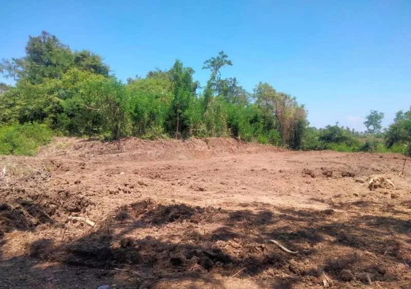 Dijual Tanah Luas di Wilayah Prancak Jembrana Bali - Image 1