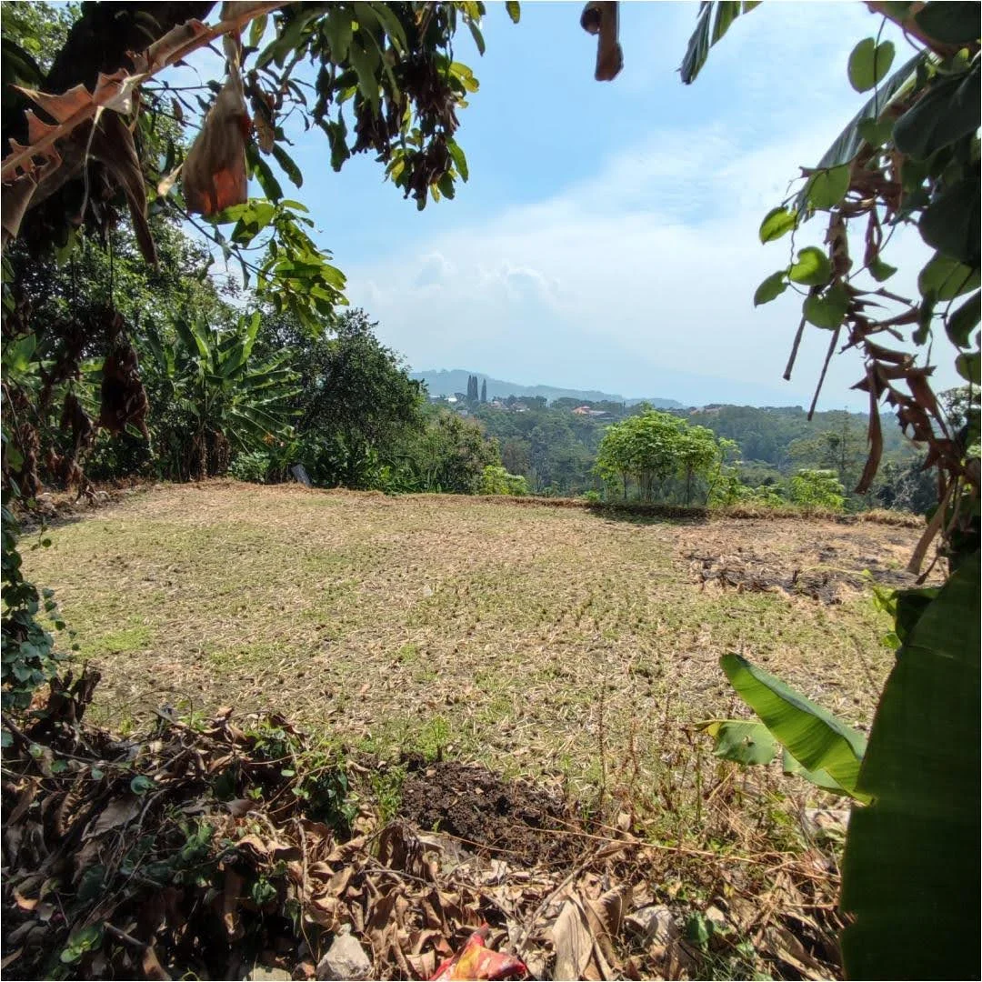 Dijual Murah Tanah Strategis Cocok Untuk Villa, Cafe, Resort, Maupun Perkebunan di Pecalukan, Prigen - Image 1