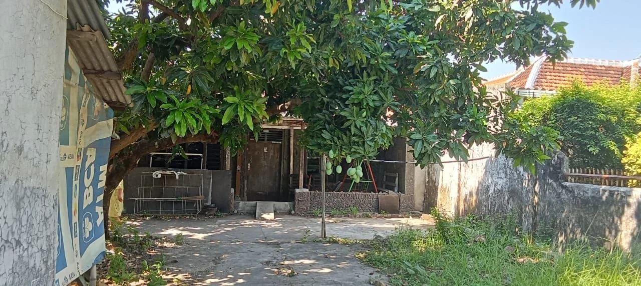 Dijual Rumah Lahan Super Luas Potensi Investasi Tinggi di Gersikan, Tambaksari, Surabaya Timur - Thumbnail 4