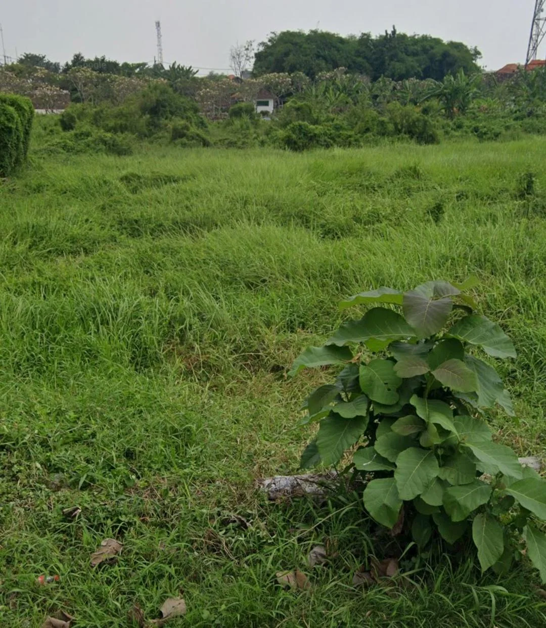 Jual Murah Lelang Kavling Tanah Lokasi Strategis By Pass Krian Sidoarjo - Image 1