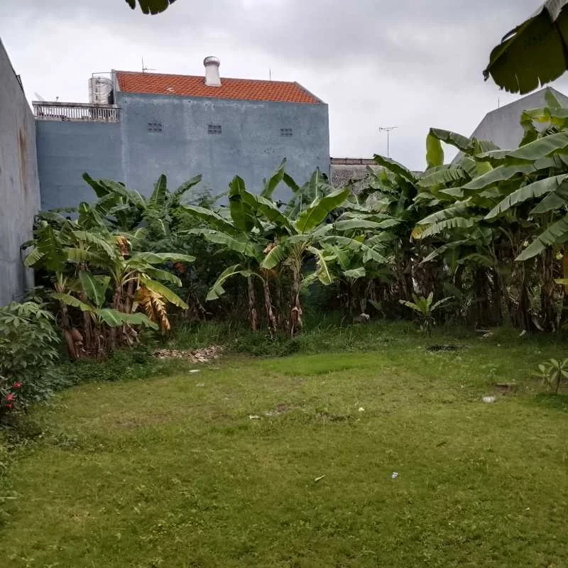 Dijual Tanah Strategis di Jalan Klampis Semolo Barat Surabaya Timur - Image 1
