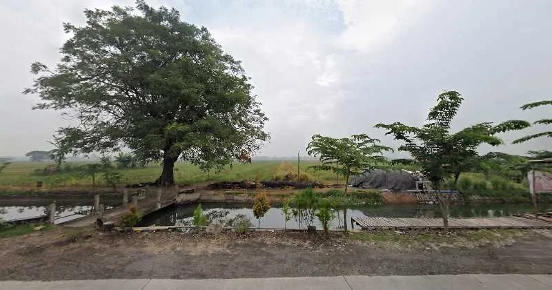 Dijual Tanah Raya Becirongengor Wonoayu Sidoarjo - Image 1