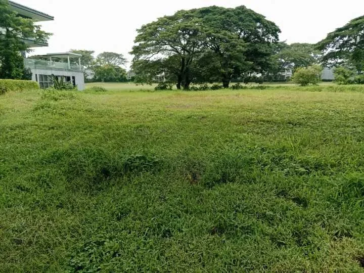 Disewakan Tanah Kavling Kawasan Premium Bukit Golf Internasional Citraland Surabaya Barat - Image 1