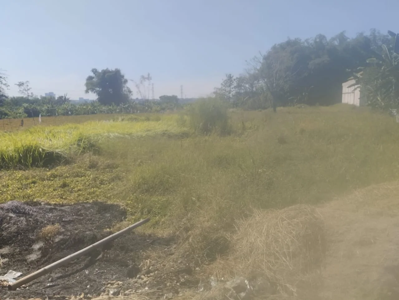 Dijual Tanah Kavling Perumahan Di Desa Gadung, Driyorejo, Kabupaten Gresik