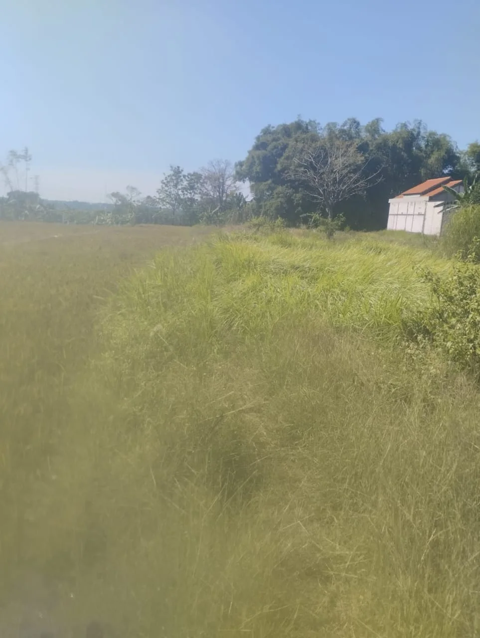 Dijual Tanah Kavling Perumahan Di Desa Gadung, Driyorejo, Kabupaten Gresik - Thumbnail 2