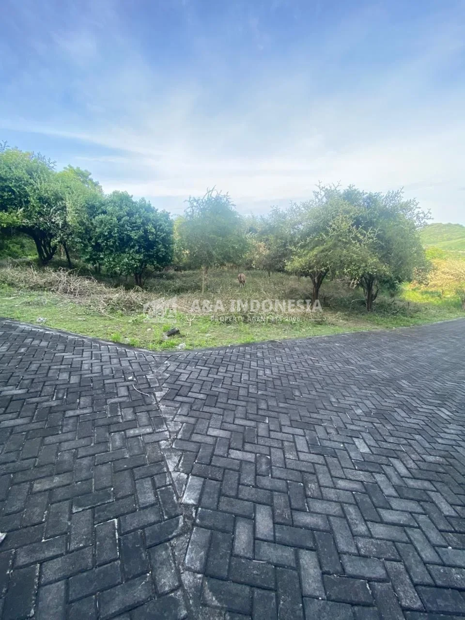 Dijual Tanah Premium Dengan Pemandangan Laut Di Kawasan Tanjung Ocean View, Kuta, Lombok