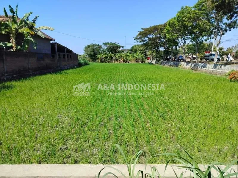 Dijual Tanah Industri di Kawasan Satya Darma, Sukoharjo, Solo - Thumbnail 2