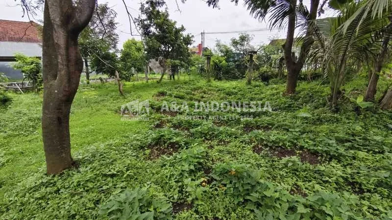Dijual Tanah Strategis di Jalan Dorowati Timur, Malang - Image 1