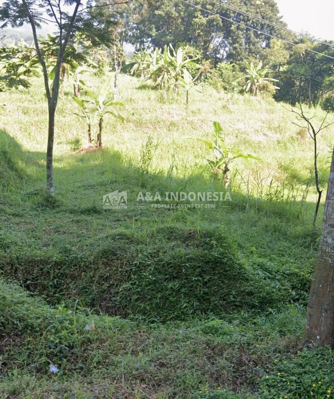 Jual Kavling Tanah Raya Ledug Prigen Pasuruan - Image 1