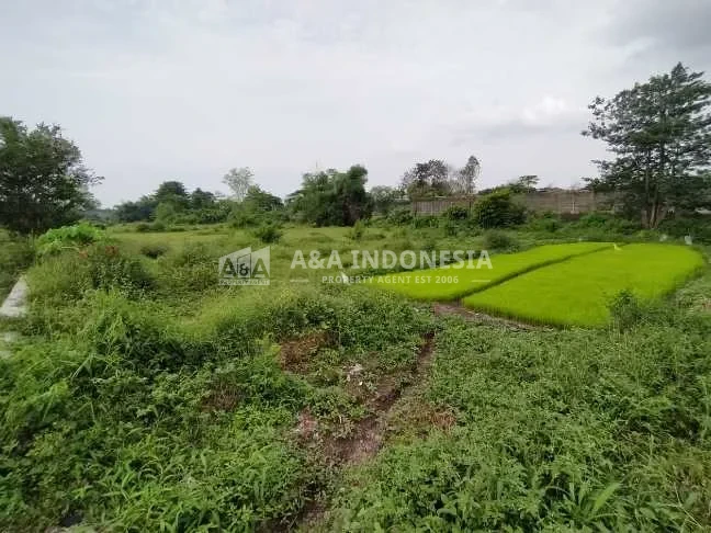 Dijual Tanah Industri Strategis Di Wilayah Krangkeng Wetan, Pasuruan - Thumbnail 4