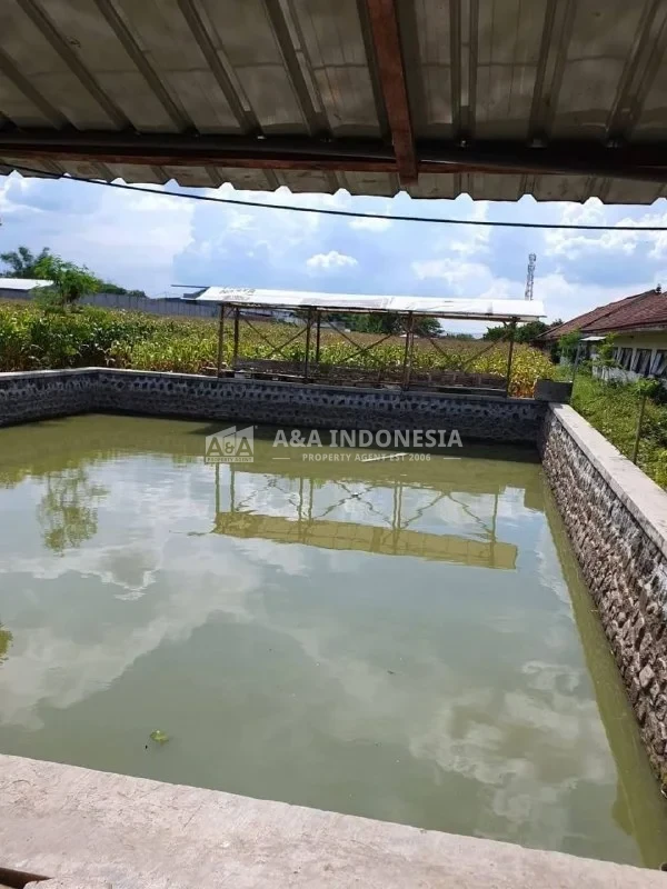 Dijual Murah Tanah, Kolam Pancing, Rumah Kalen, Dlanggu Mojokerto - Thumbnail 3