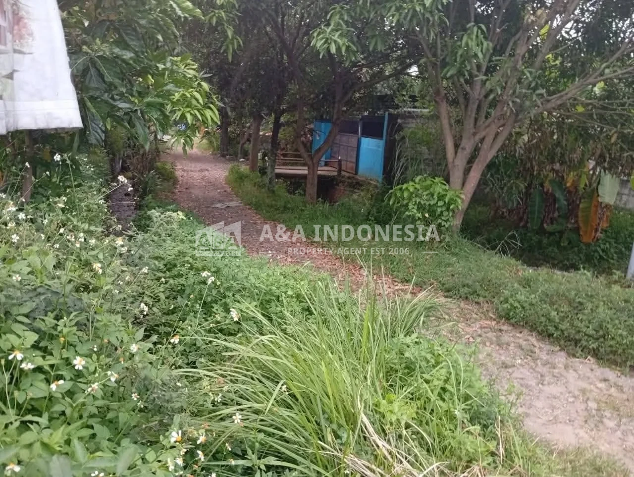 Dijual Murah Tanah, Kolam Pancing, Rumah Kalen, Dlanggu Mojokerto - Thumbnail 5