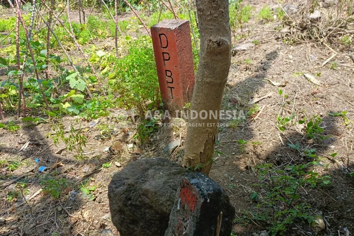 Dijual Tanah di Dalam Jl. Radial Citraland Surabaya, Belakang Ruko Gwalk Citraland (masuk 30m dari Radial) - Thumbnail 2