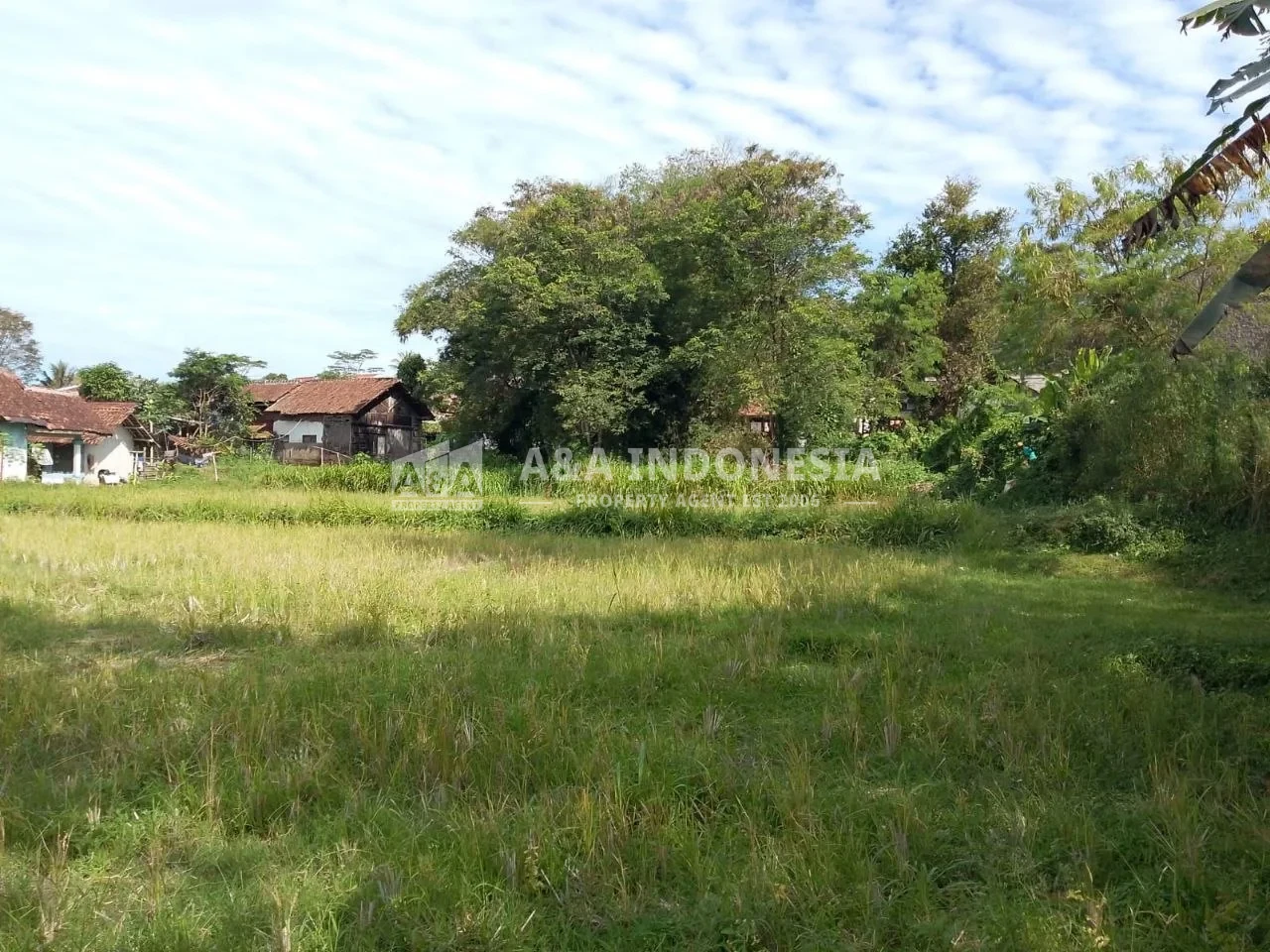 Dijual Tanah Perumahan Di Kampung Balananjeur, Kudang Kopi - Thumbnail 3
